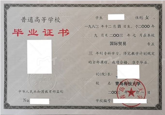 青岛科技大学2003年普通全日制专科毕业证书样本图片（国际贸易）